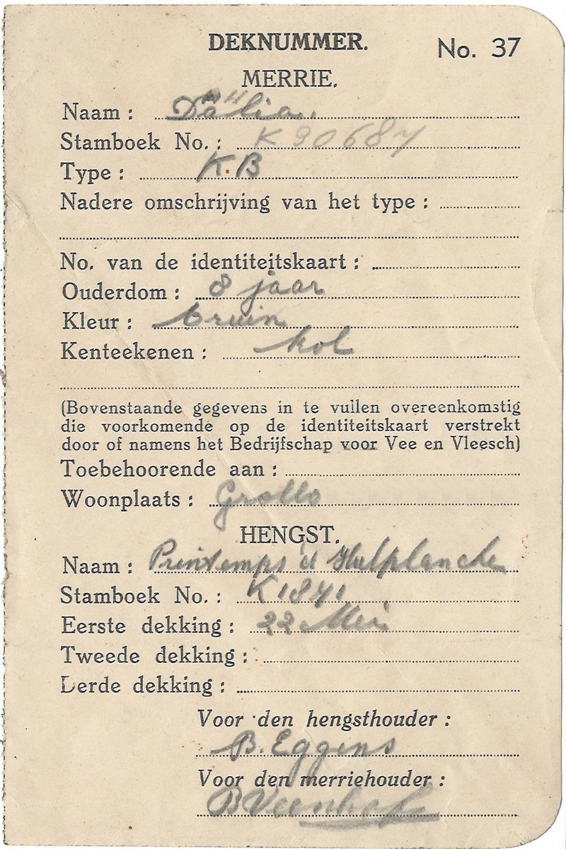 19440522 Deknummerkaart NN